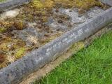 image of grave number 271076